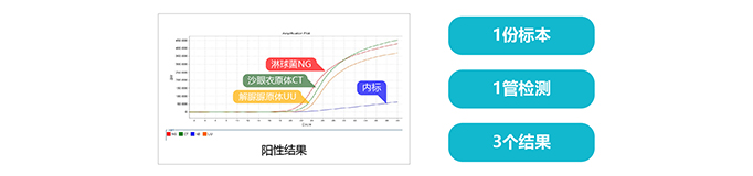 金迪安3-03.jpg