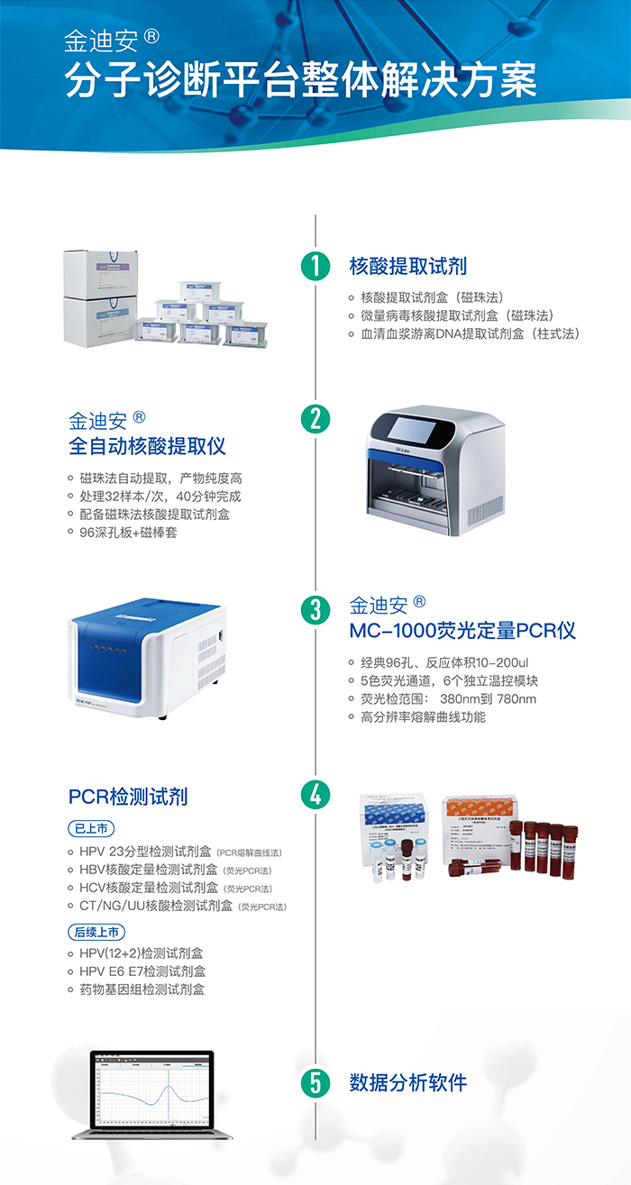 分子诊断.jpg